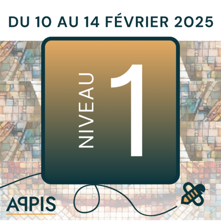 Formation APPIS Niveau 1